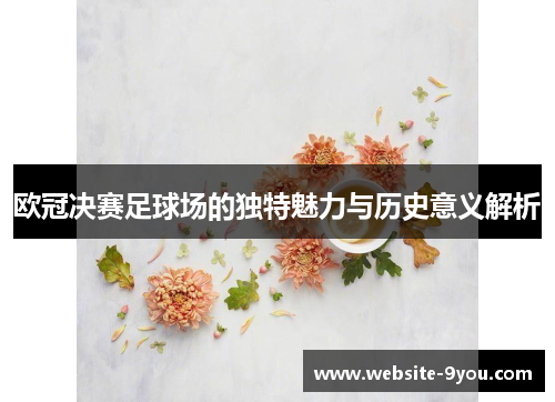 欧冠决赛足球场的独特魅力与历史意义解析